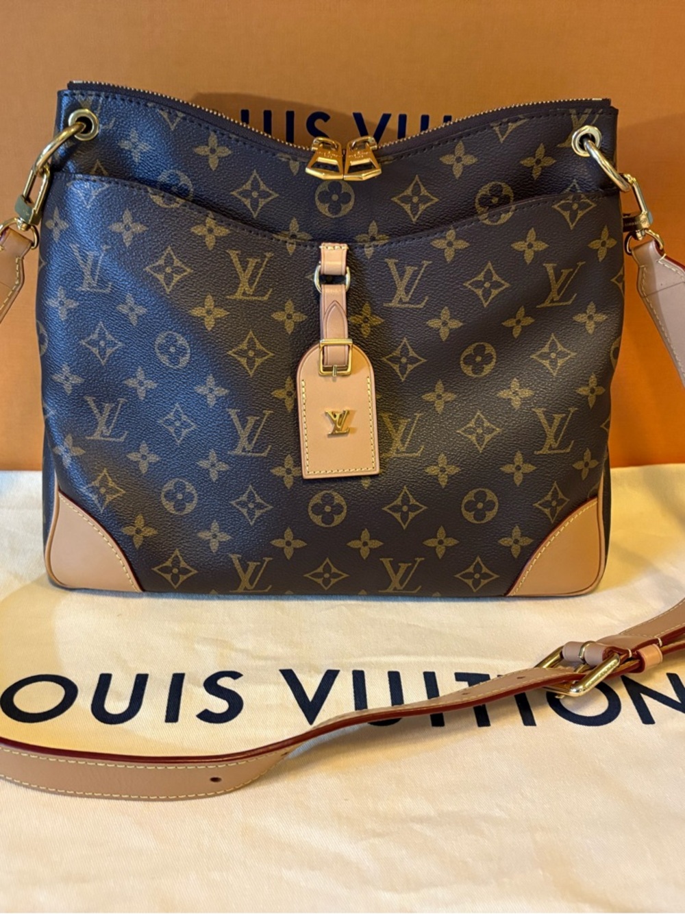 Louis Vuitton Odeon MM Monogram-gorgeous discontinued style